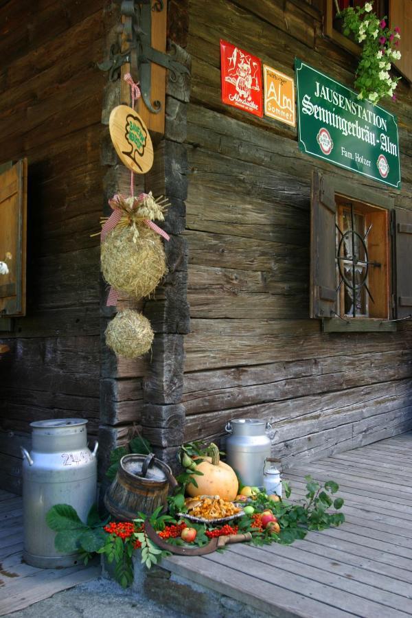 Senninger Alm Panzió Hollersbach im Pinzgau Kültér fotó